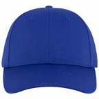 The Origin Pro Low Profile Cap